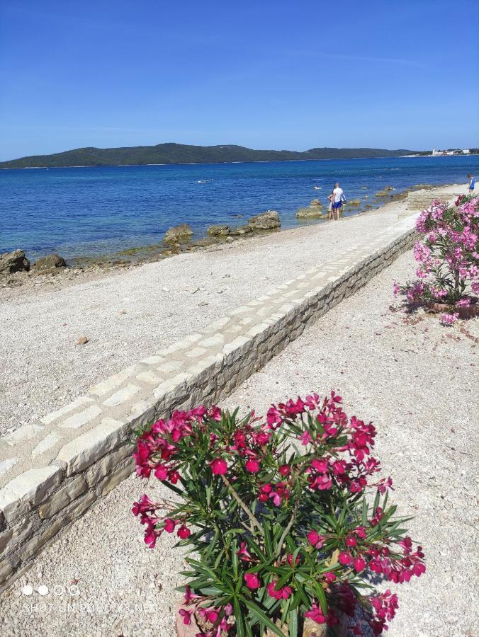 Apartmani Lana Šibenik Екстериор снимка